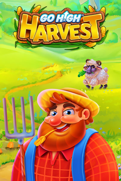 고 하이 하베스트 Go High Harvest