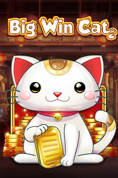 빅 윈 캣 Big Win Cat