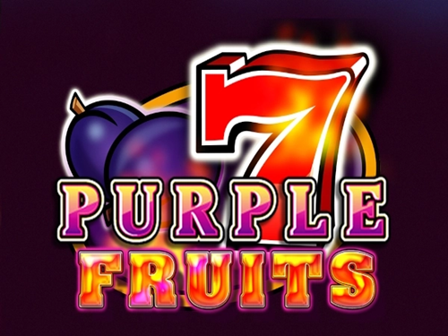 퍼플 프루츠 Purple Fruits