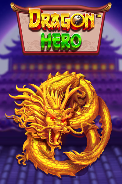 드래곤 히어로 Dragon Hero