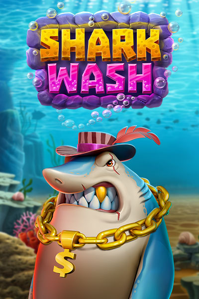 샤크 워시 Shark Wash