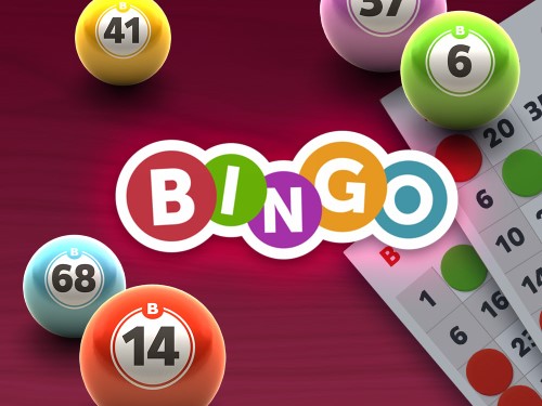 빙고 Bingo