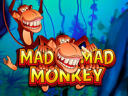 매드 매드 몽키 미니 Mad Mad Monkey Mini