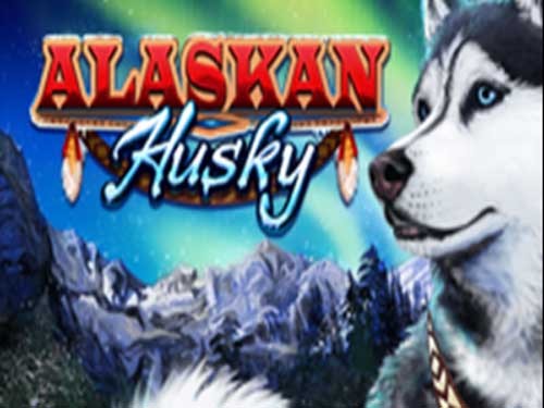 알래스칸 허스키 Alaskan Husky