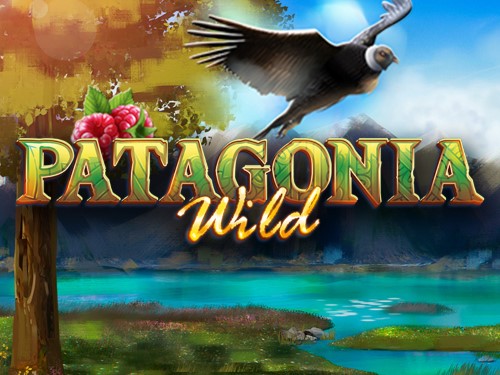 파타고니아 와일드 Patagonia Wild