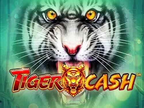 타이거 캐시 Tiger Cash