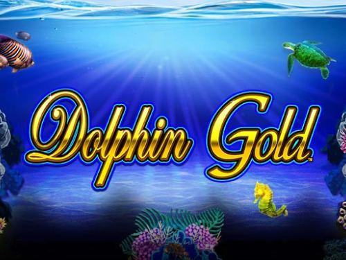 돌핀 골드 HQ Dolphin Gold HQ