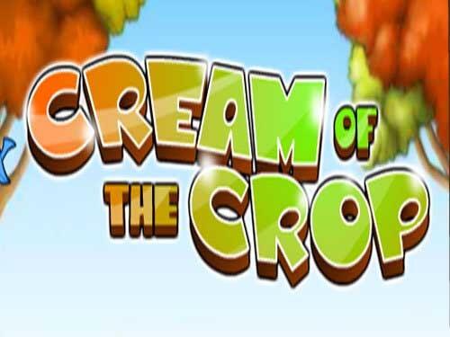 크림 오브 더 크롭 Cream of the Crop
