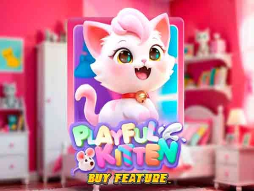 플레이풀 키튼 바이 피처 Playful Kitten Buy Feature