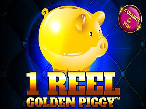 1 릴 골든 피기 1 Reel Golden Piggy