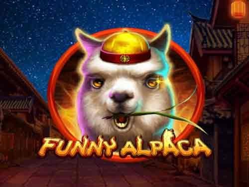 퍼니 알파카 Funny Alpaca