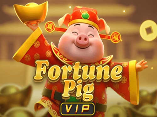 포춘 피그 VIP Fortune Pig VIP