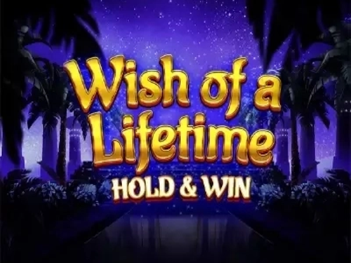위시 오브 어 라이프타임 Wish of a Lifetime
