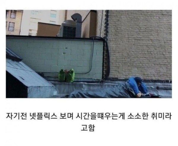 20250805103214_Sjb3jityDO.jpg