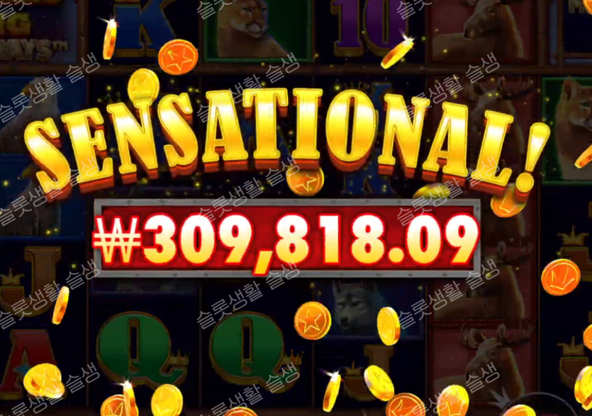 ee652220549b2870be58339f735ee604_1788174748_4532.png