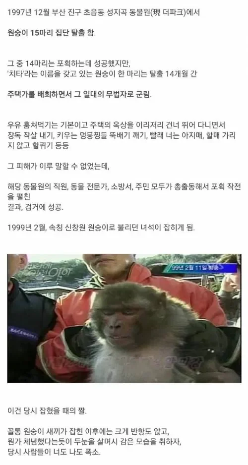 20260917121522_bwcvNdwAHu.webp