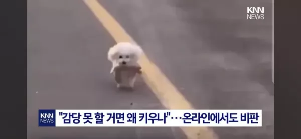 20260929095158_QRCZJDkW7K.webp