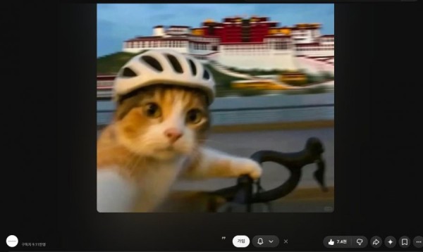 20260920194213_xx6FNzw0SF.png