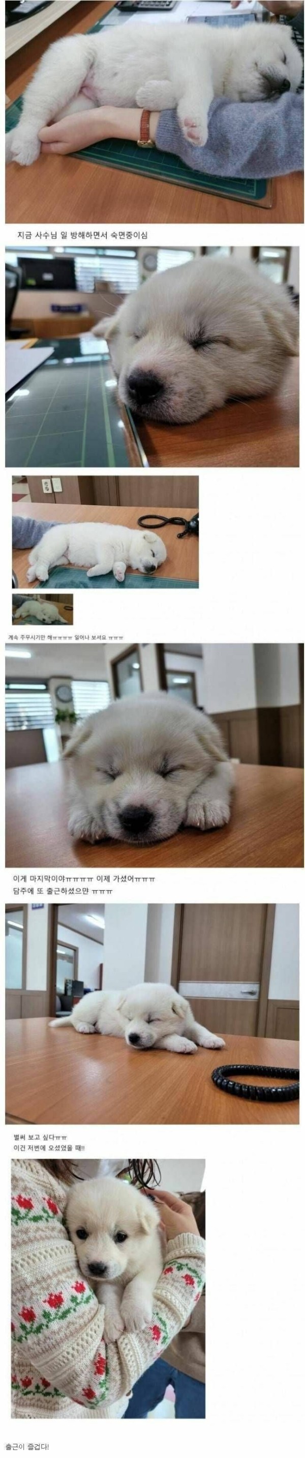 20260917184950_XIwbo6zCCT.jpeg