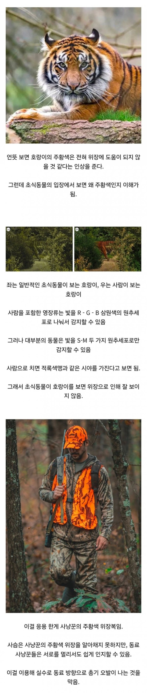20260922105851_EqifM8JYrs.png