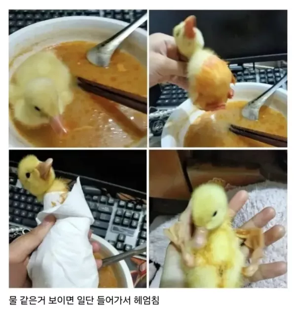 20260919140931_YCyqvOkEHE.webp