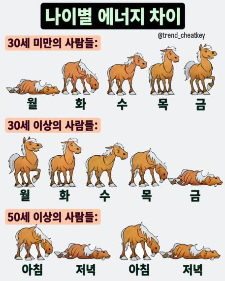 20261006105757_ldF62bjHau.png