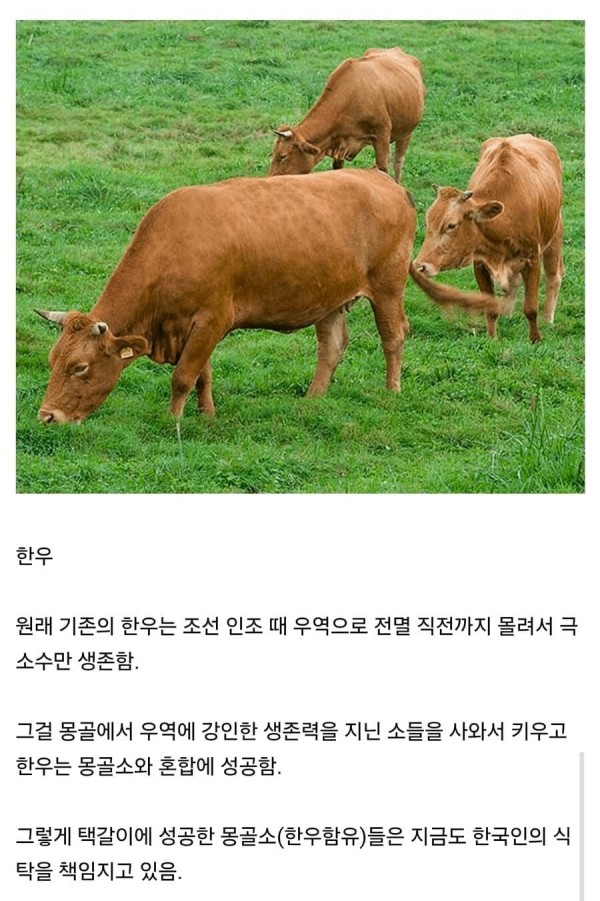 20261012190453_Ku10RXlDxf.jpg