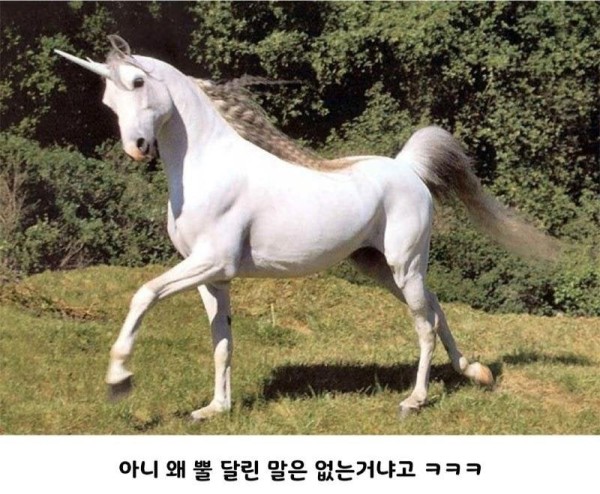20261011111244_114JnFUvzG.jpg