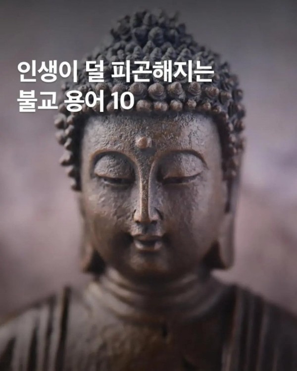 20261011123647_pnOLUqsYTv.png
