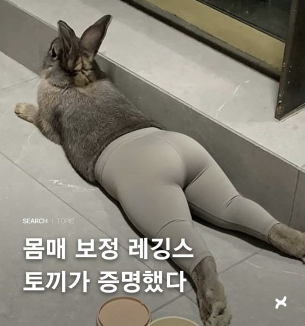 20261007113850_VMG5FefCAL.jpeg