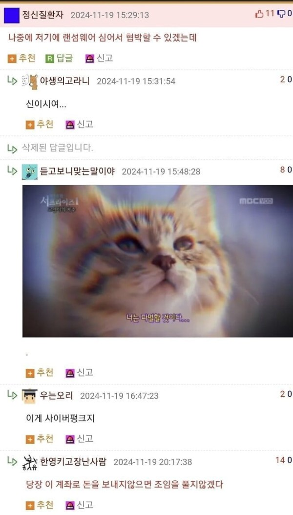 20261026191649_swNzO9owKj.jpg