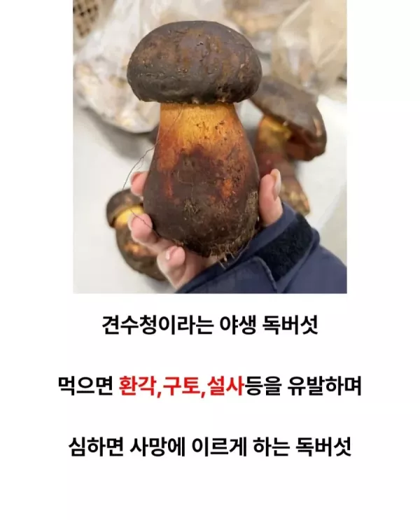 20261024185916_Iu77GqLBAz.webp