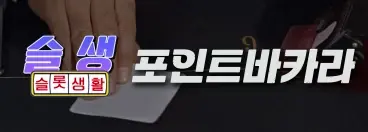 포인트바카라